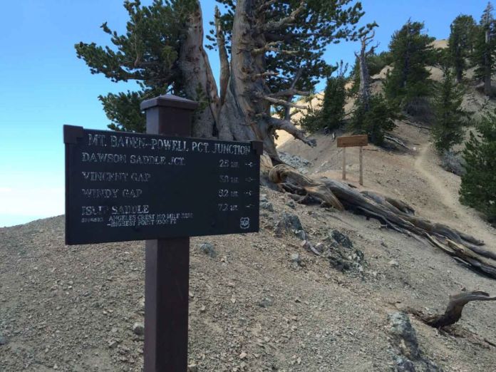 Here the trail splits with the PCT to the summit
