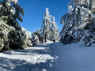Blue skies and snow on Mt Saint Helena