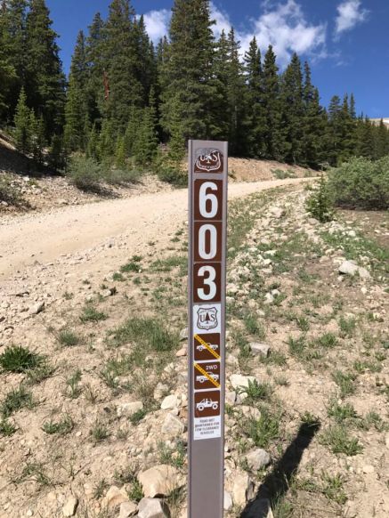 Forest Service Road 603