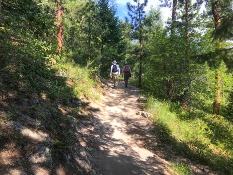 Most of the trail to Bergen Peak is forested