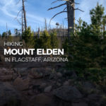 Hiking Mount Elden in the Coconino National Forest