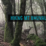 Hiking Mount Umunhum