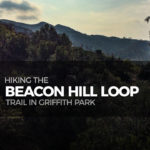 Hike the Beacon Hill Loop Trail in Griffith Park