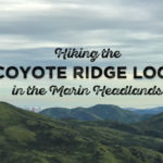 Hiking the Coyote Ridge Loop in the Marin Headlands
