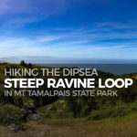 Hiking the Dipsea-Steep Ravine Loop in Mt Tamalpais State Park