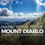 Hiking from Mitchell Canyon Staging to the summit of Mount Diablo