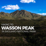 Hiking to Wasson Peak in Saguaro National Park
