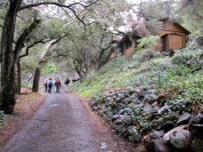 Cabins in Holy Jim Canyon