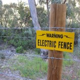Electric fence. Don't disturb the residents.
