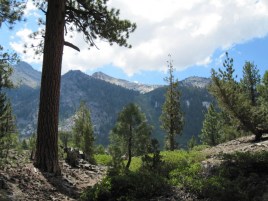 View from the JMT