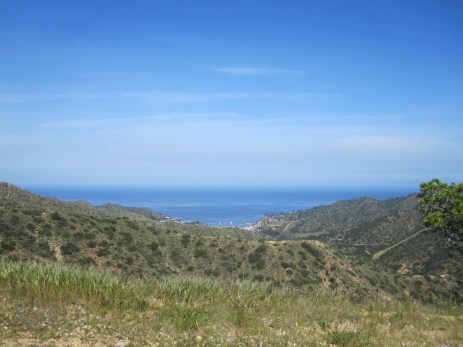Looking south toward Avalon from the top of the ridge