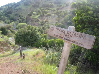 Last junction on the Trans-Catalina Trail
