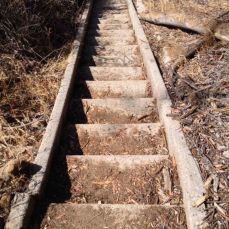 Still more steps into Rustic Canyon