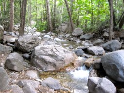 Sturtevant Creek