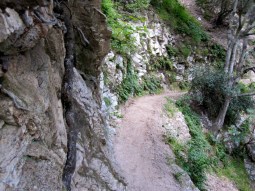 Lower Gabrielino Trail