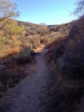 Pacific Crest Trail through the lower canyon