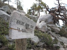 Baldy Bowl Trail marker