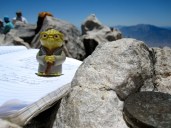 Yoda at the San Gorgonio summit