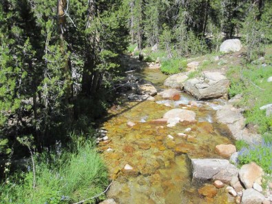 Tuolumne Creek