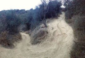Junction of Temescal Ridge and Canyon Trails