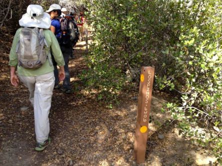 The Correct Trail to Los Pinos