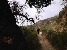 Trail Canyon Trail