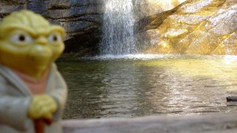 Yoda at Trail Canyon Falls
