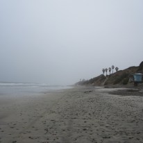 Foggy day at the beach