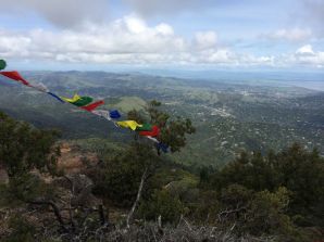 Prayer flags on Mt Tam