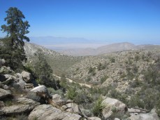 A view of Anza Borrego desert