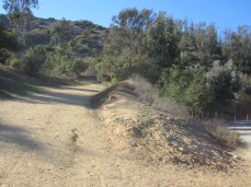 As the paved road curves to the right, bear left up the dirt trail.