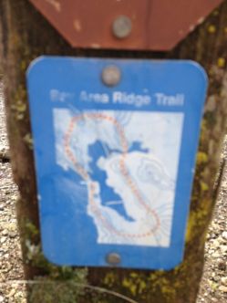Bay Ridge Trail