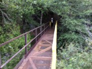 Bridge at the trailhead to Fish Canyon