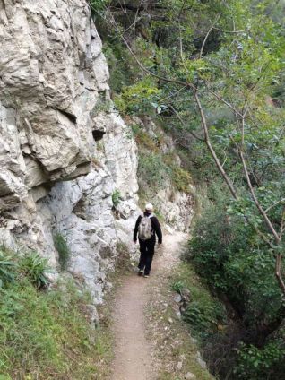 The trail is carved into a sometimes steep canyon wall