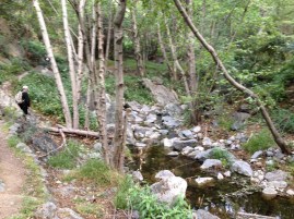 Much of the trail runs very near this small creek.