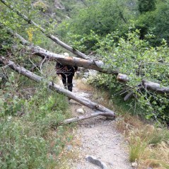 Obstacles on the trail, as of Spring 2013