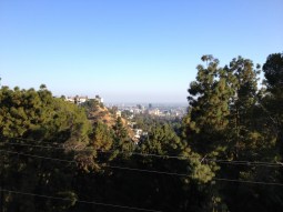 Views of LA