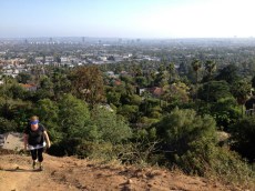 Views of LA