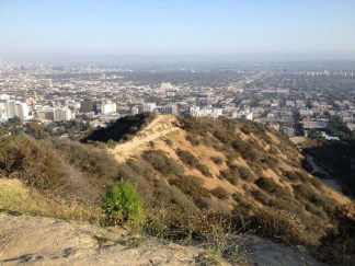 Looking down the ridge over Runyon Canyon