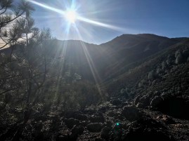 Mount Diablo looms high above