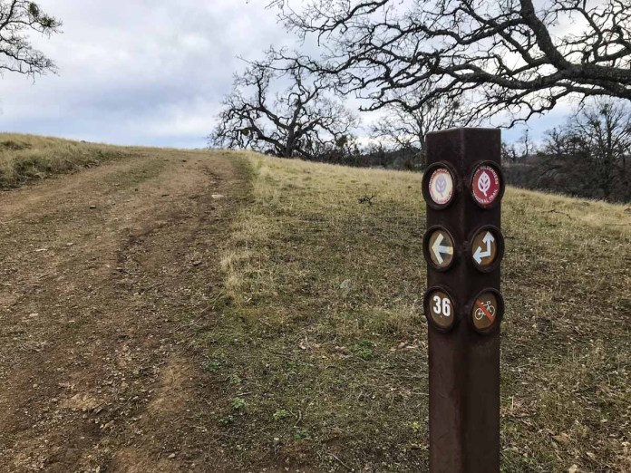 Trail marker 36
