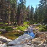 Middle Fork of the Merced River