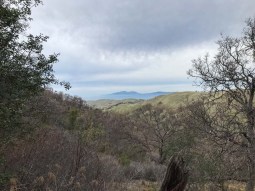 Looking toward Mt Diablo