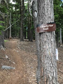 Look for this small sign marking the Mt Bachelor Trail