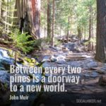 Between every two pines is a doorway to a new world. - John Muir
