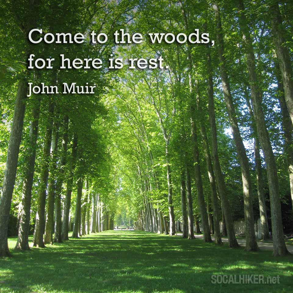 Muir Monday: Come to the woods, for here is rest. - John Muir