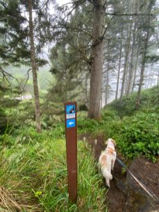Oregon Coast Trail marker