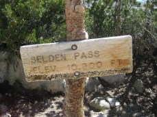 Seldon Pass sign