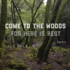 Come to the woods, for here is rest. - John Muir