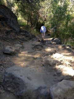 Rocky Singletrack Trail